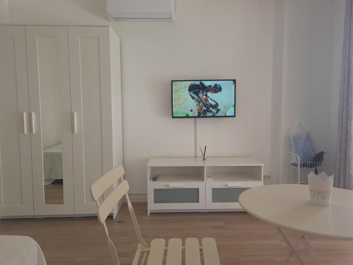 Estudio توري ذيل مار المظهر الخارجي الصورة